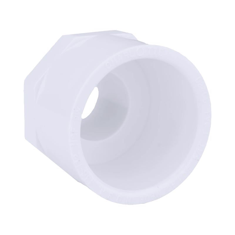 CHARLOTTE PIPE - Charlotte Pipe 1 in. MPT X 1-1/4 in. D Slip PVC Adapter 1 pk