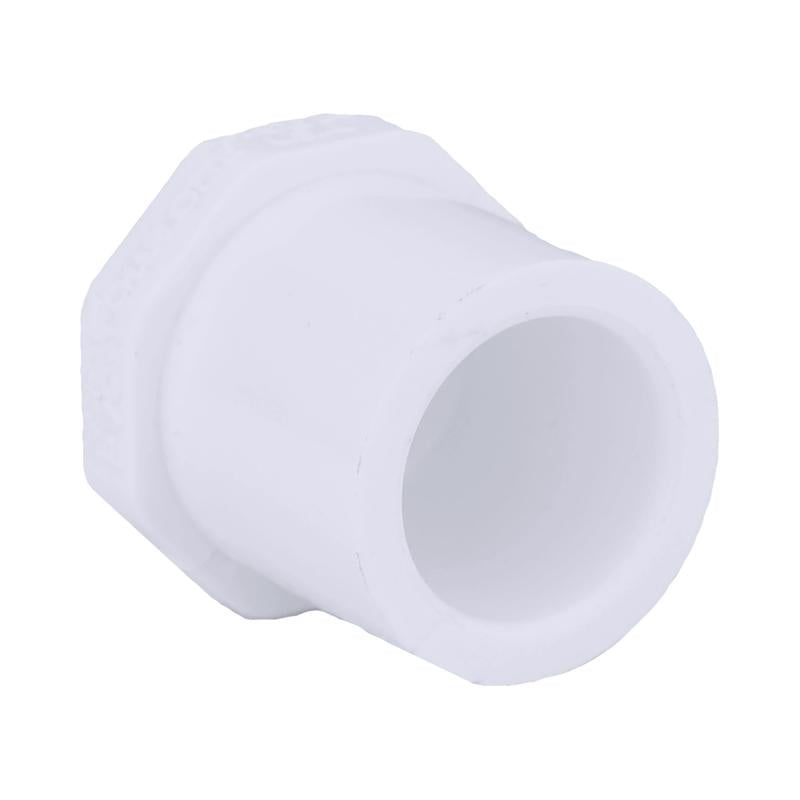 CHARLOTTE PIPE - Charlotte Pipe Schedule 40 1/2 in. Spigot X 1/2 in. D Slip PVC Plug 1 pk - Case of 50