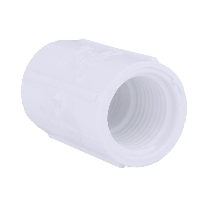 CHARLOTTE PIPE - Charlotte Pipe Schedule 40 1/2 in. FPT X 1/2 in. D FPT PVC Coupling 1 pk - Case of 50