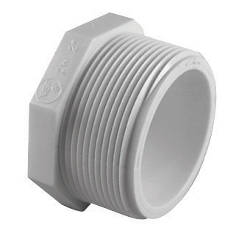 CHARLOTTE PIPE - Charlotte Pipe Schedule 40 1-1/4 in. MPT X 1-1/4 in. D FPT PVC Plug 1 pk