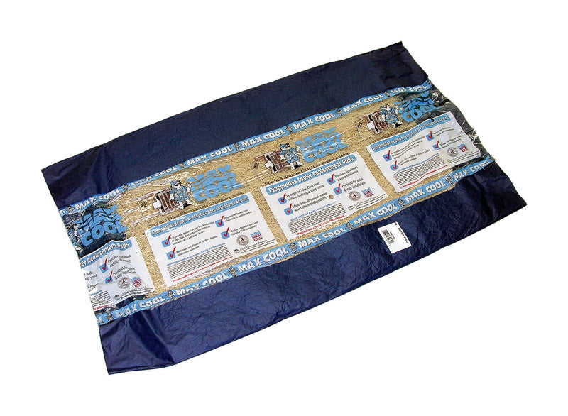 B & K - Dial 32 in. H X 40 in. W Beige Long Strand Excelsior Aspen Pad - Case of 12
