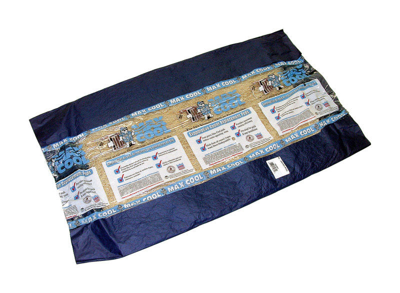 B & K - Dial 24 in. H X 24 in. W Beige Long Strand Excelsior Aspen Pad - Case of 24