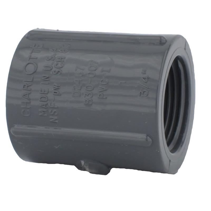 CHARLOTTE PIPE - Charlotte Pipe Schedule 80 3/4 in. FPT X 3/4 in. D FPT PVC Coupling 1 pk