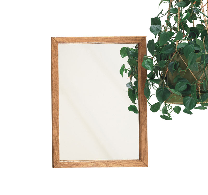 ZENITH METAL - Zenith Products 21-3/4 in. H X 16.13 in. W X 4.5 in. D Rectangle Oak Medicine Cabinet