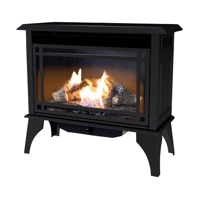PLEASANT HEARTH - Pleasant Hearth 1000 sq ft 30000 BTU Natural Gas/Propane Wall Fireplace Heater