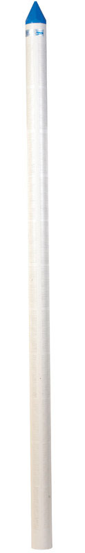 CAMPBELL - Campbell Brady PVC 2 in. Well Point