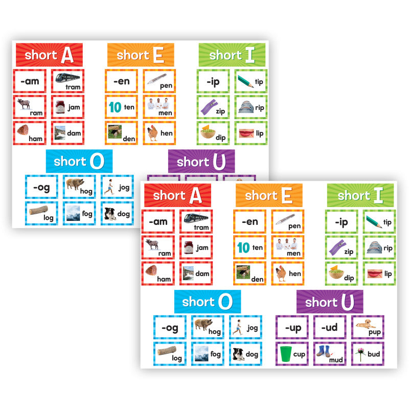TEACHER CREATED RESOURCES - Short Vowels Pocket Chart Cards, 205 Pieces Per Pack, 2 Packs