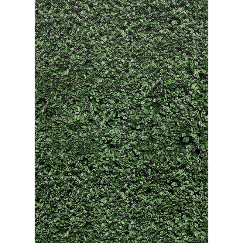 TEACHER CREATED RESOURCES - Better Than Paper® Bulletin Board Roll, 4' x 12', Boxwood Design, 4 Rolls