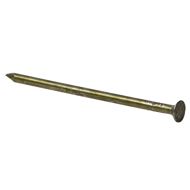 GRIP-RITE - Grip-Rite 12D 3.125 in. Sinker Coated Steel Nail Flat Head 30 lb
