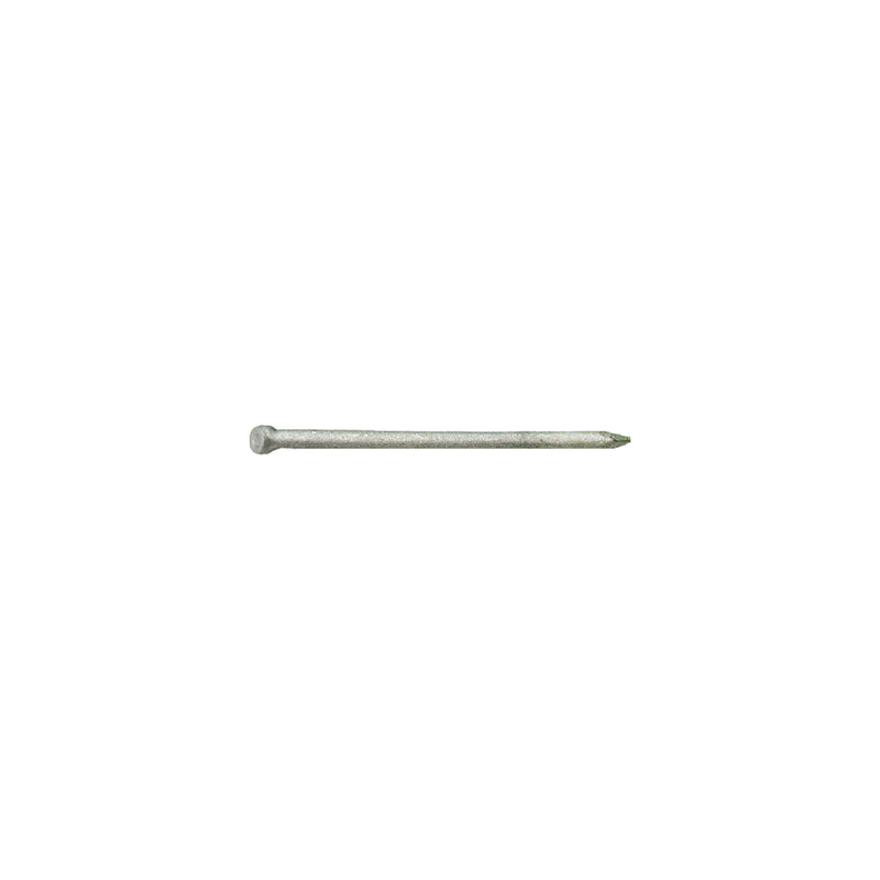 GRIP-RITE - Grip-Rite 12D 3-1/4 in. Finishing Hot-Dipped Galvanized Steel Nail Brad Head 1 lb - Case of 12