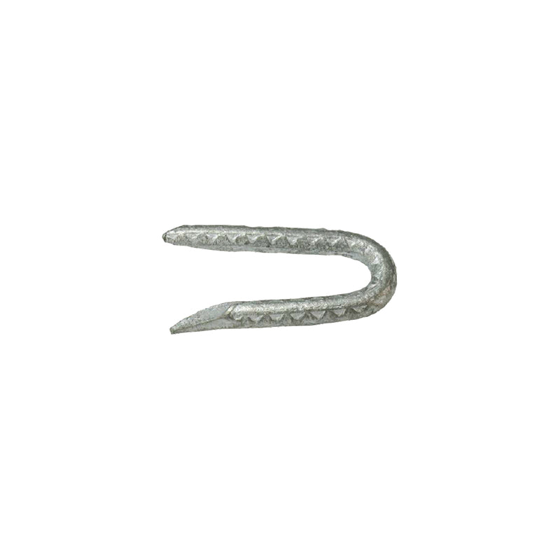 GRIP-RITE - Grip-Rite 1/4 in. W X 1-3/4 in. L Galvanized Steel Fence Staples 9 Ga. 5 lb - Case of 6