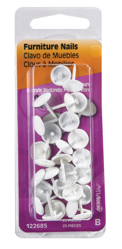 HILLMAN - Hillman Large Brass-Plated White Brass Furniture Nails 25 pk - Case of 6