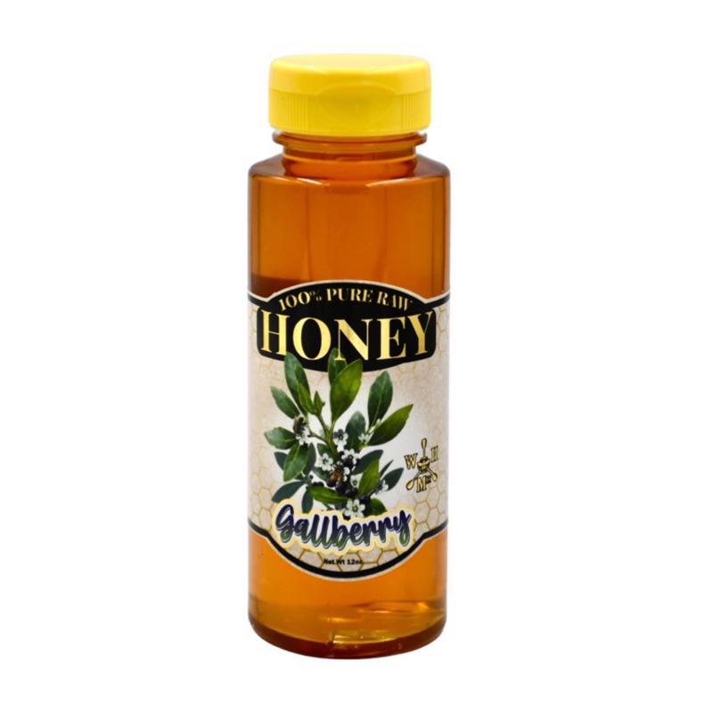 WORLD HONEY MARKET - World Honey Market Gallberry Honey 12 oz Bottle - Case of 12