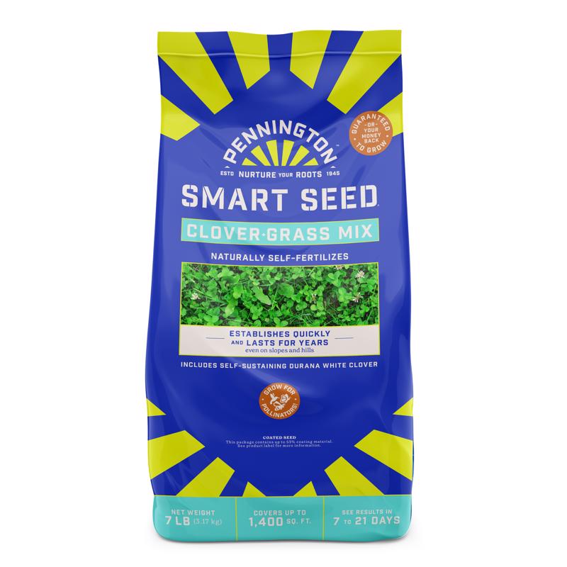 PENNINGTON - Pennington Smart Seed Clover Grass Mix Full Sun/Light Shade Grass Seed 7 lb