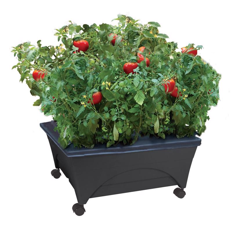 CITY PICKERS - City Pickers 11 in. H X 24 in. W X 20 in. D Resin Garden Bed Charcoal