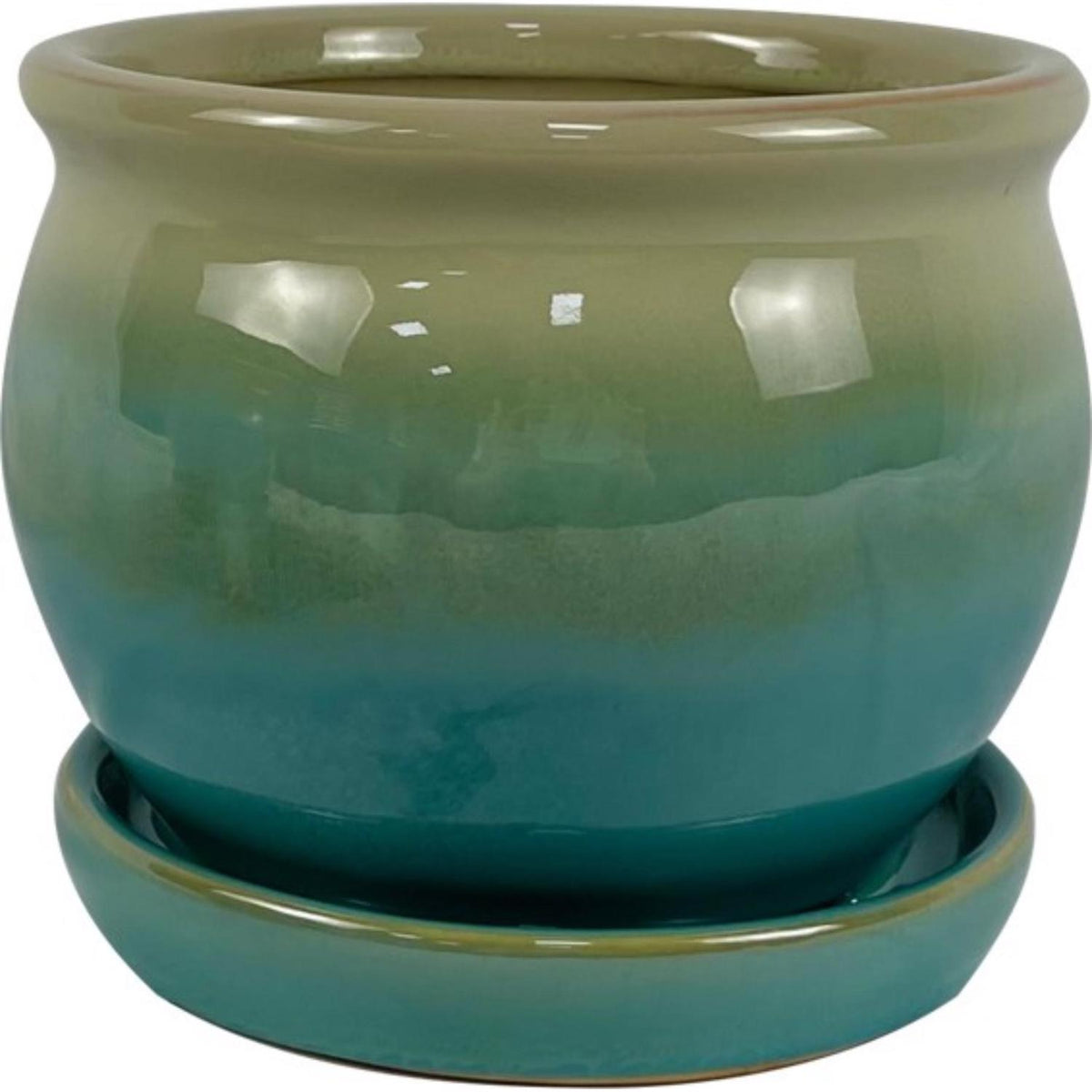 Border Concepts 5 in. H X 6 in. W Ceramic Archdale Planter Moss - Case of 6