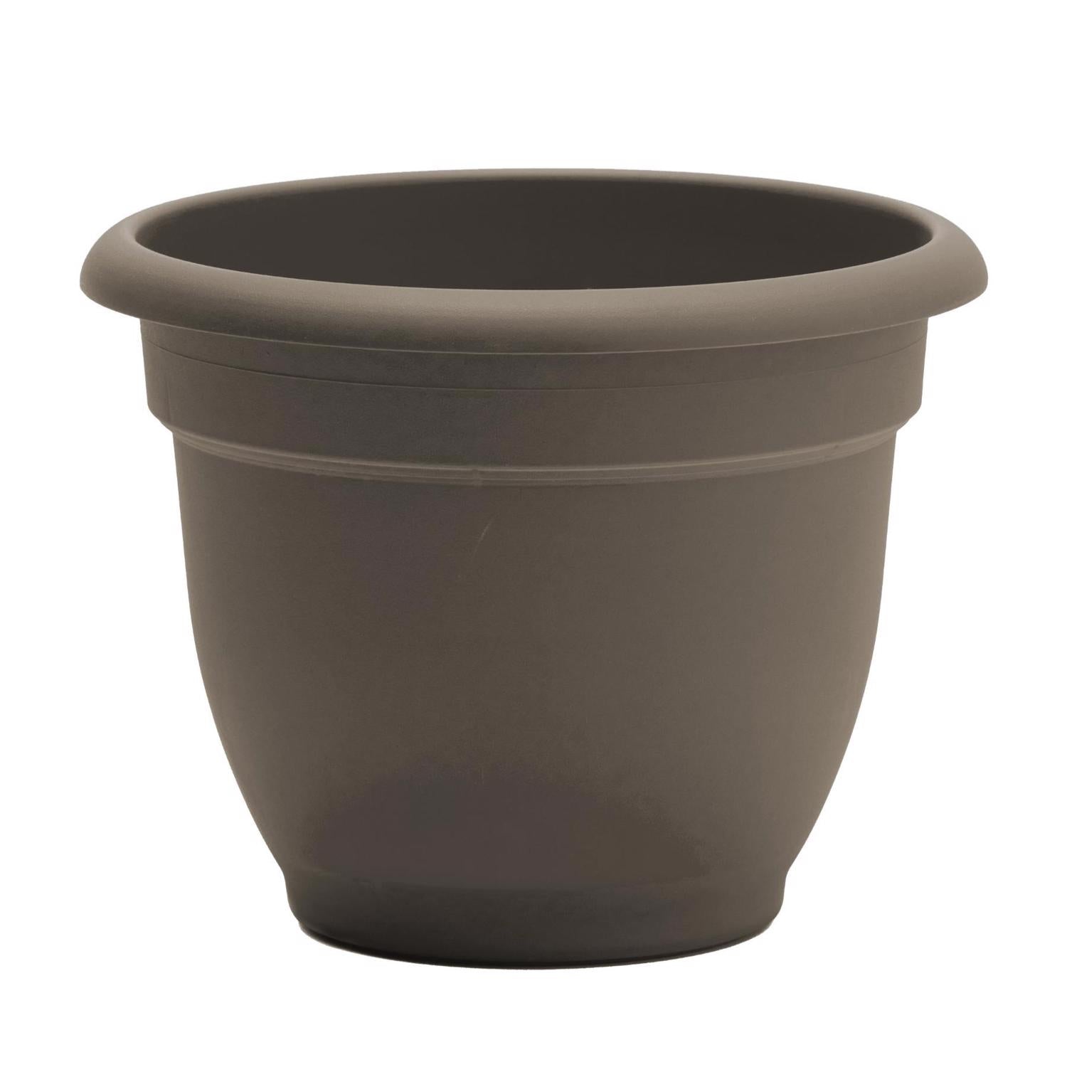 Bloem Ariana 5.25 in. H X 6.5 in. W X 6 in. D Plastic Traditional Planter Peppercorn