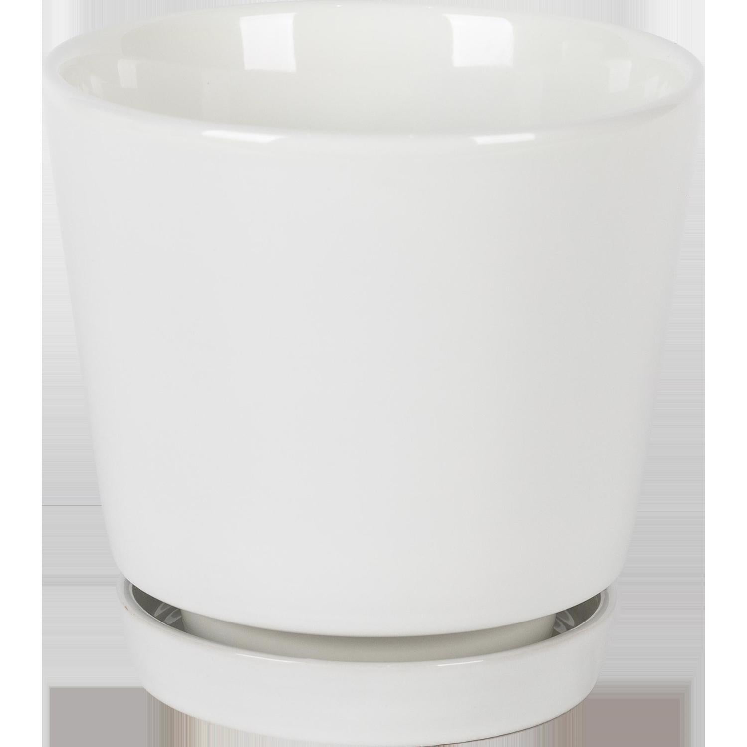 Border Concepts 6 in. D Ceramic Flair Saucer Planter White - Case of 6