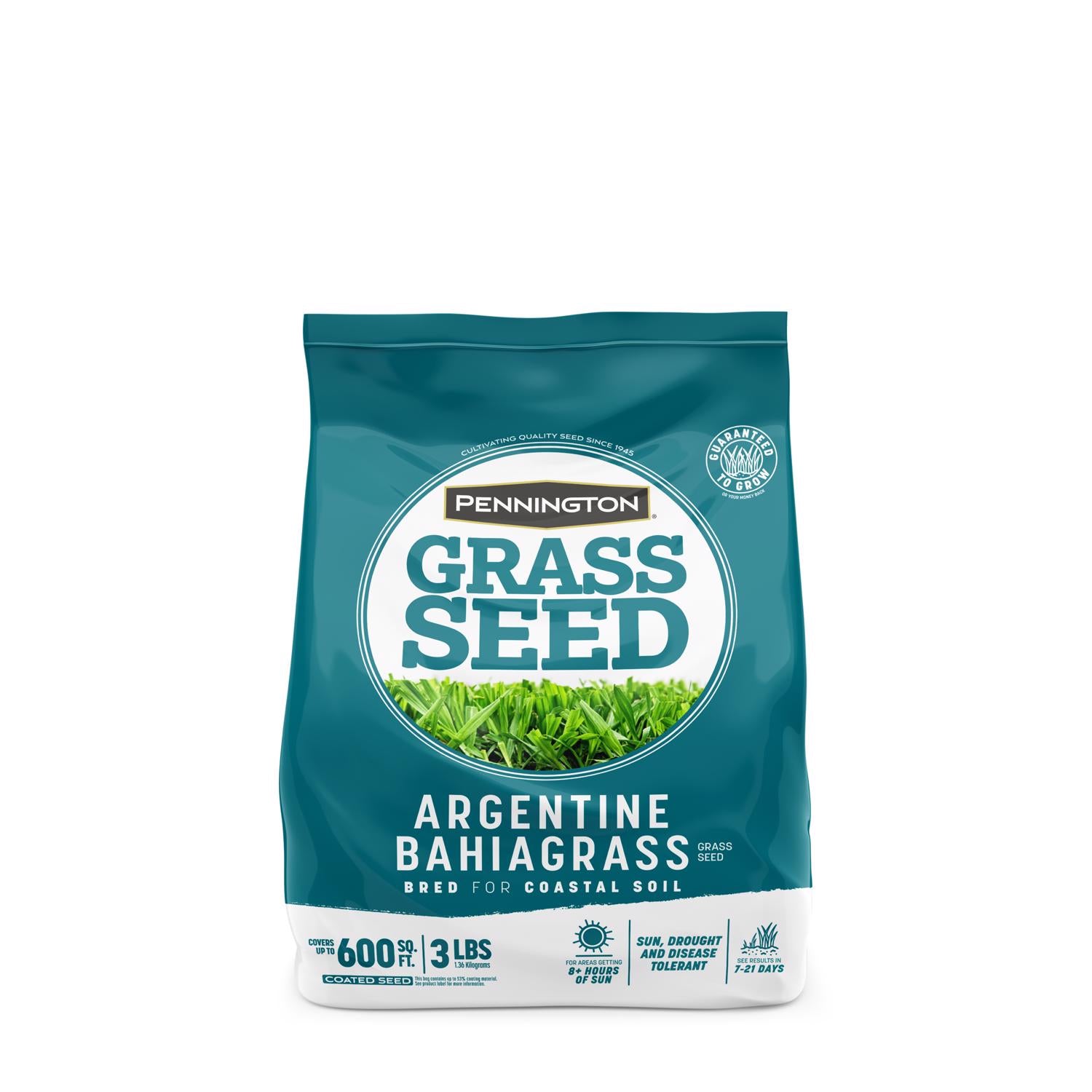 Pennington Bahia Grass Full Sun Grass Seed 3 lb