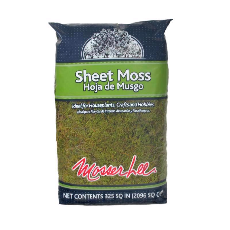 MOSSER LEE - Mosser Lee Organic Green Sheet Moss 325 sq in