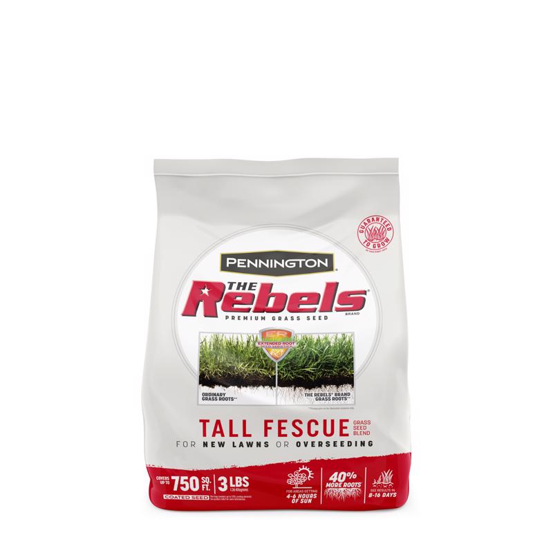 PENNINGTON SEED - Pennington The Rebels Tall Fescue Grass Sun or Shade Grass Seed 3 lb
