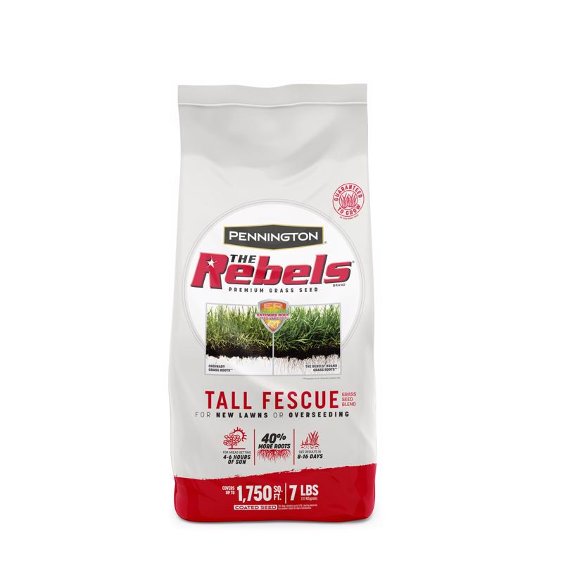 PENNINGTON - Pennington The Rebels Tall Fescue Grass Sun or Shade Grass Seed 7 lb