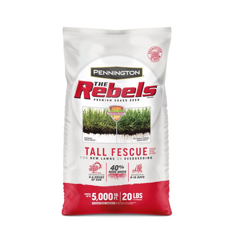 PENNINGTON - Pennington The Rebels Tall Fescue Grass Sun or Shade Grass Seed 20 lb