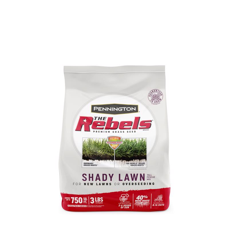 PENNINGTON - Pennington The Rebels Tall Fescue Grass Dense Shade Grass Seed 3 lb
