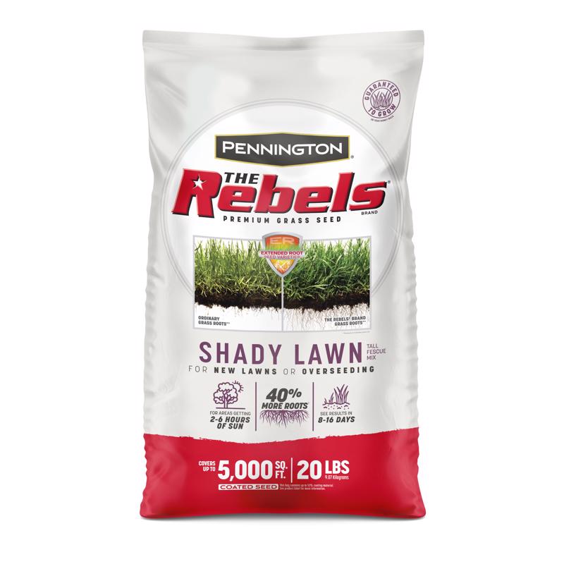 PENNINGTON - Pennington The Rebels Tall Fescue Grass Partial Shade/Sun Grass Seed 20 lb