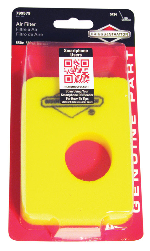 BRIGGS & STRATTON - Briggs & Stratton Air Filter For 441618