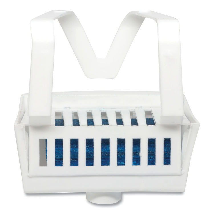 Big D Industries - Non-Para Toilet Bowl Block, Lasts 30 Days, Evergreen Scent, White, 12/Box