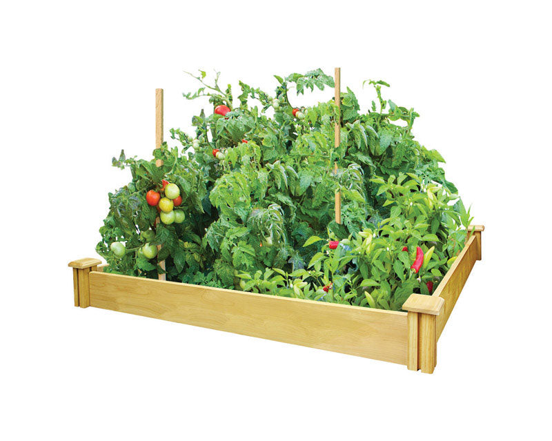 GREENES - Greenes 5.5 in. H X 48 in. W Cedar Raised Bed Planter Brown