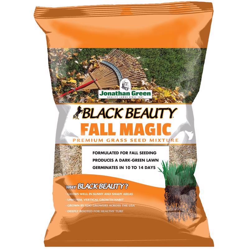 JONATHAN GREEN - Jonathan Green Black Beauty Fall Magic All Grasses Sun or Shade Grass Seed 25 lb