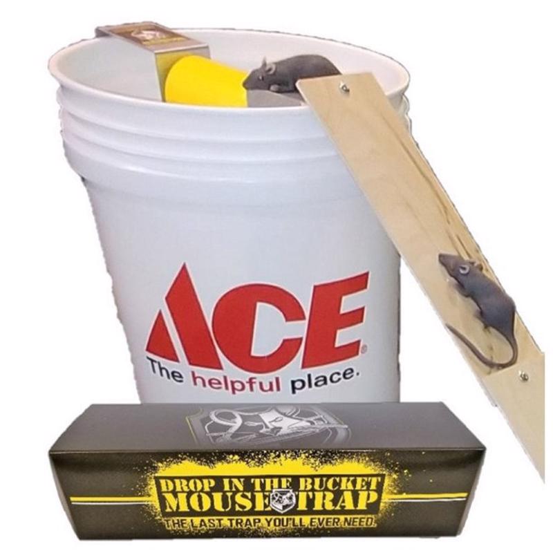 DROP IN THE BUCKET, INC. - Drop In The Bucket, INC. Medium Multiple Catch Animal Trap For Mice/Voles/Ground Squirrels/Rats 1 pk