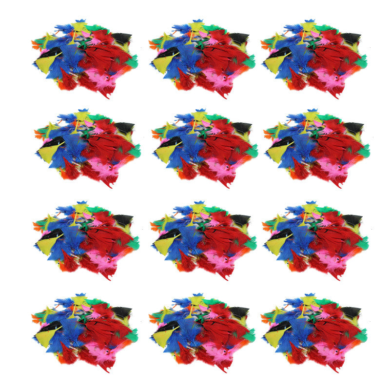CHARLES LEONARD - Turkey Feathers, Bright Colors, 14 Grams Per Pack, 12 Packs