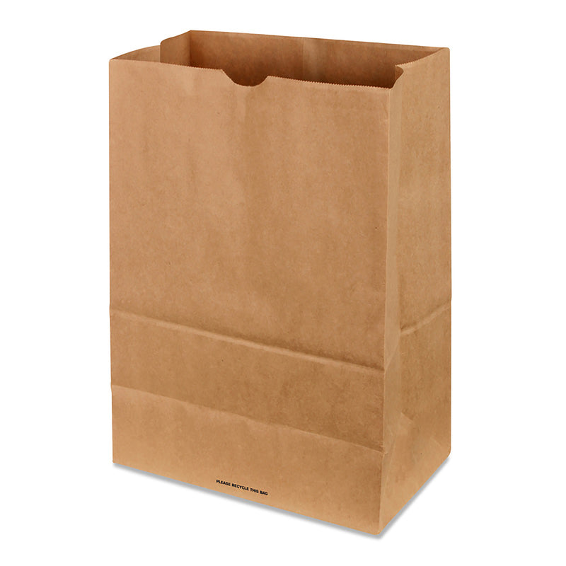 NORTH AMERICAN COMPANY - Recycled Paper Brown Shopping Bag 500 pk 17 in. H X 7 in. W X 12 in. L