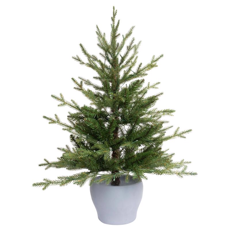 CELEBRATIONS - Celebrations 3 ft. Full LED 50 ct Fraser Fir Potted Color Changing Porch Bush