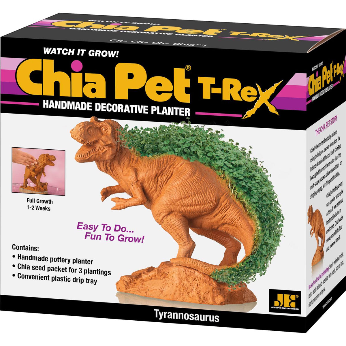 Chia Pet Dinosaur TRex Decorative Planter Terracotta Clay 1 pk - Case of 16