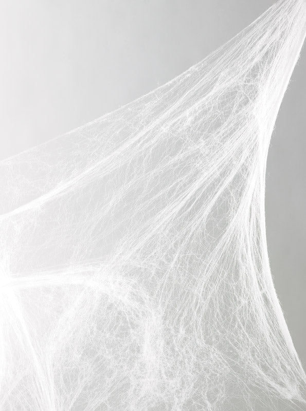 FUN WORLD - Fun World 18 in. Spider Web Halloween Decor - Case of 36