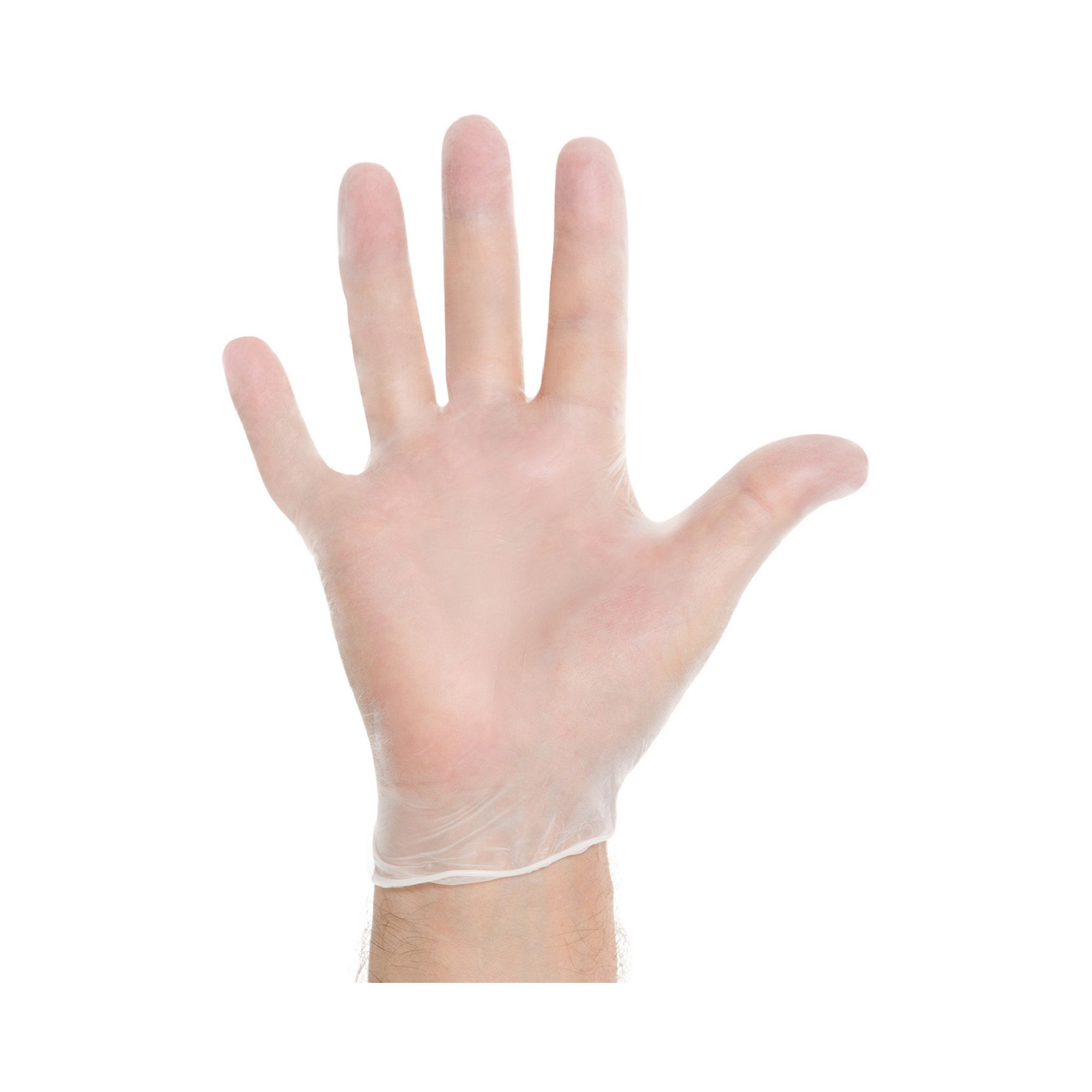 O&M Halyard Inc - Exam Glove Halyard™ Large NonSterile Vinyl Standard Cuff Length Smooth Clear Not Rated [100/BX]