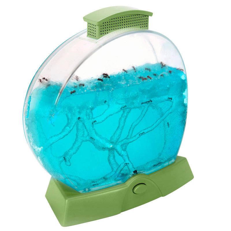 EDUCATIONAL INSIGHTS - Geosafari® Day 'N' Night Ant Farm