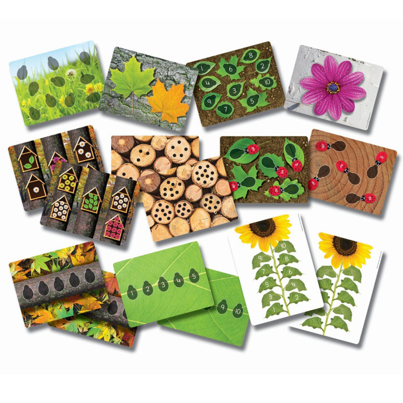 YELLOW DOOR - Ladybugs Early Number Card, Pack of 16