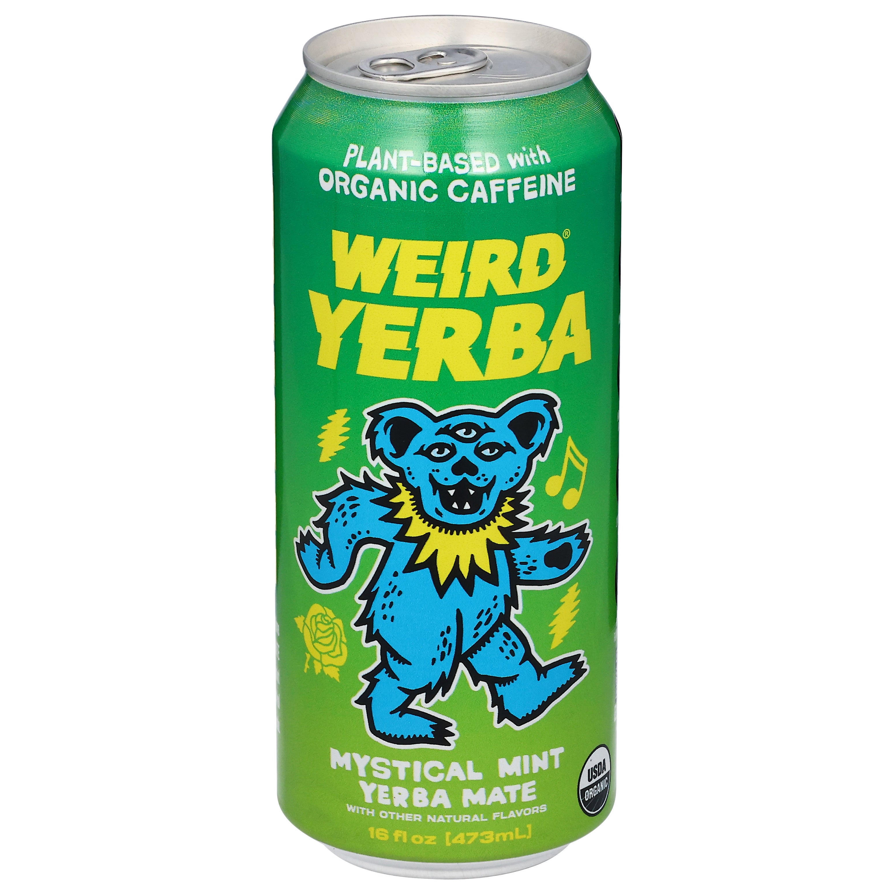 Drink Weird Mystical Mint Yerba Mate 16 fl oz - Case of 12