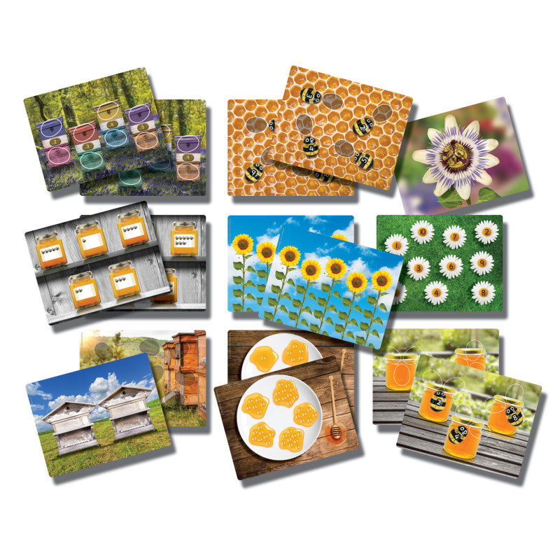 YELLOW DOOR - Honey Bee Early Number Cards, Set of 16