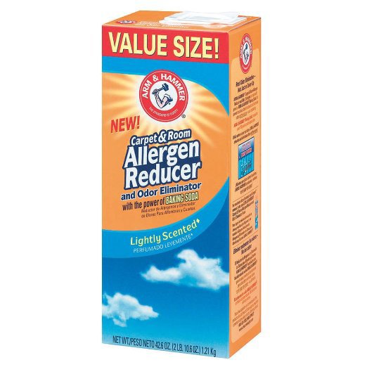 Lagasse - Deodorizer Arm & Hammer™ Powder 42.6 oz. Box Mild Scent [1/EA]