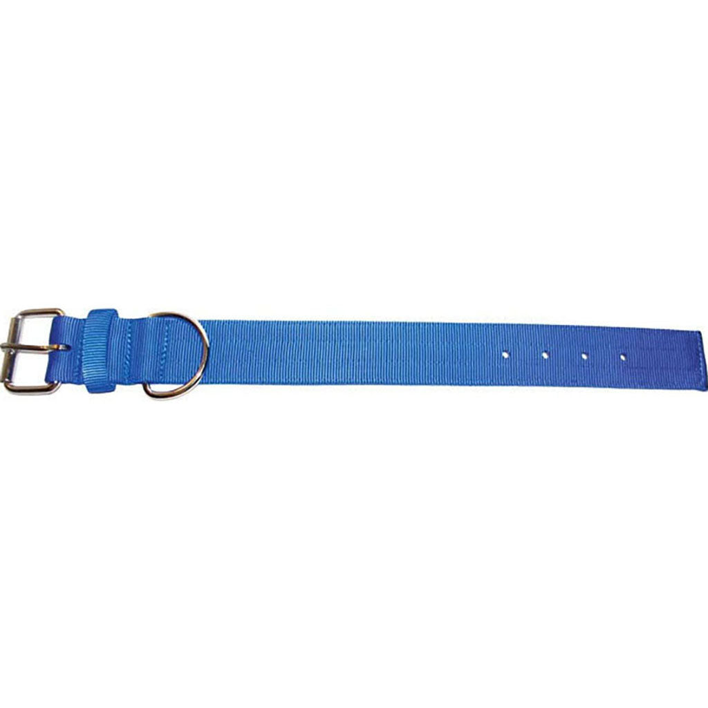 Bravo 2 Ply Nylon Dog Collar (BLUE, 2 X 23 IN)