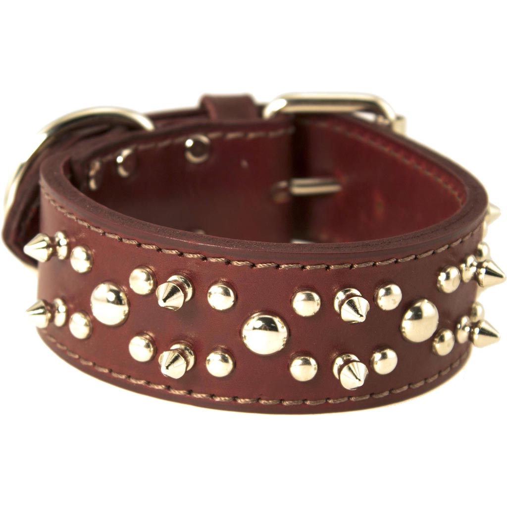 Latigo Leather Spike/Stud Dog Collar (BURGUNDY, 1.75X20IN)