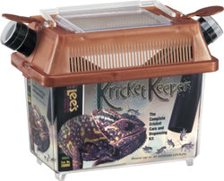 Kricket Keeper (SM)