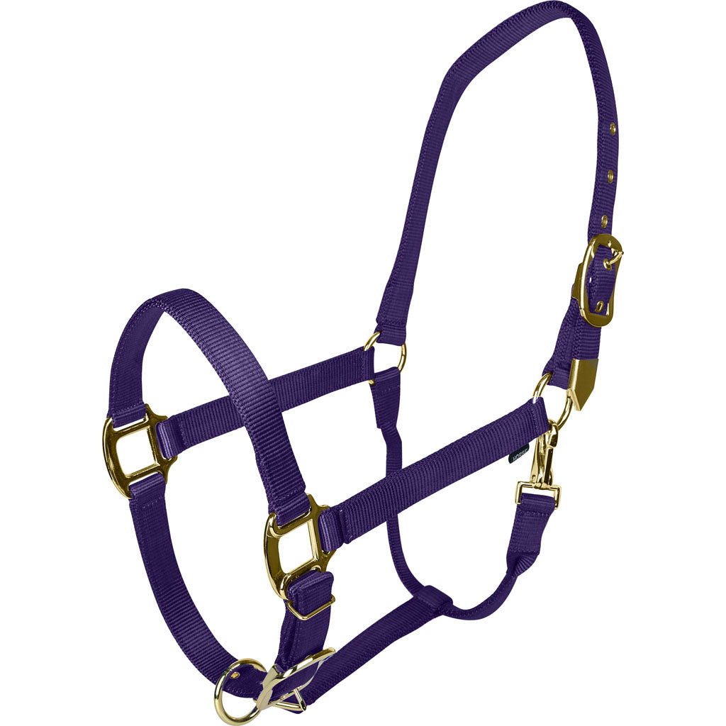 Gatsby Gold Adjustable Halter W/ Snap (PURPLE, HORSE)