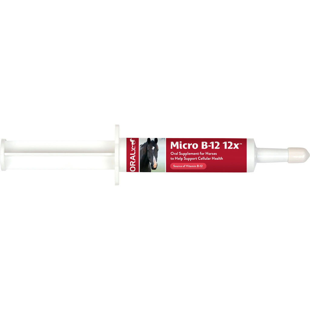 Oralx Micro B-12 Vitamin Paste 12x (34 GM)